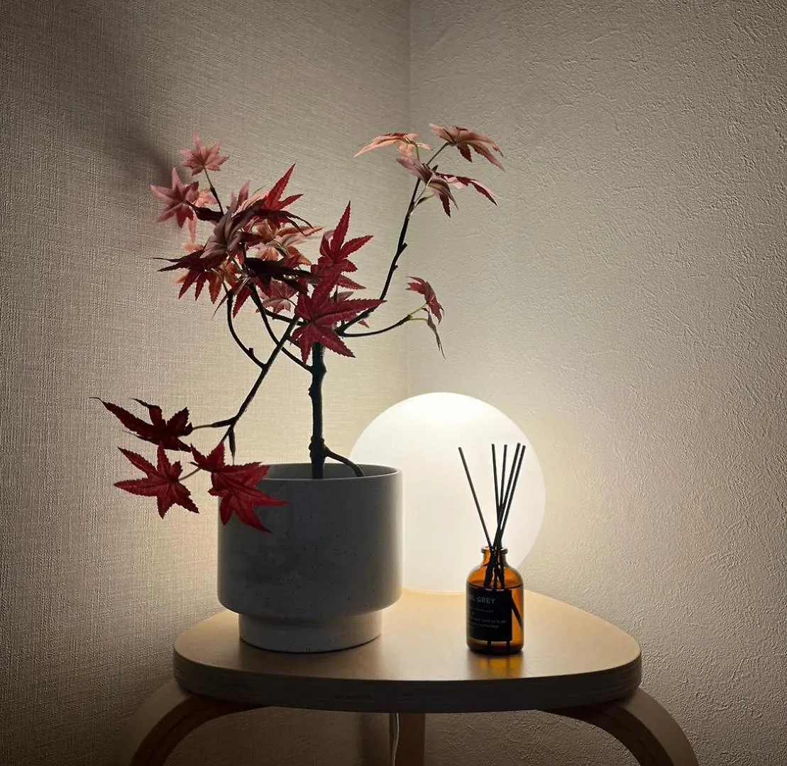 サニーハイツ201 Apartment Tokyo Japan
